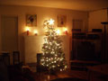 tree and mantle candles.jpg